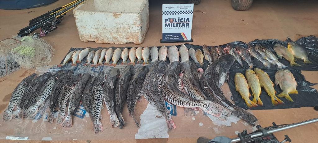 Polícia Militar prende dois homens em flagrante com 48 unidades de pescado irregular - 